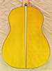 FS1929-1-spruce-boxwoodb-hayaf-fresno-yellow-28-B