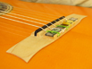 MB1945-spruce-cocobolof-hayab-maple-yellow-5-B