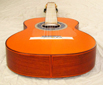 SH1927-spruce-white-ovang-orange-23-B