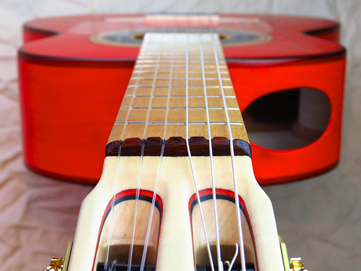 SH1930-5-spruce-hayab-hayaf-fresno-red-8-A